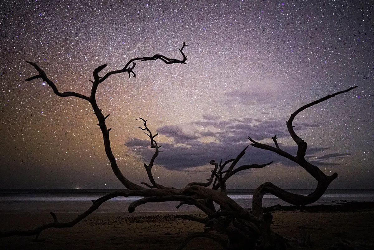 A fallen tree on a dark beach beneath a dense field of stars