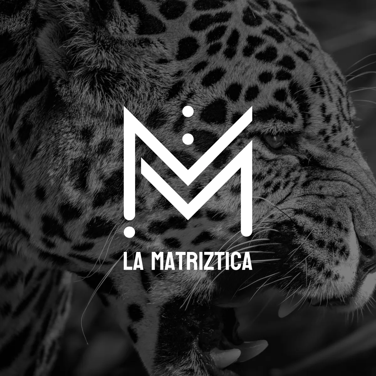 La Matriztica